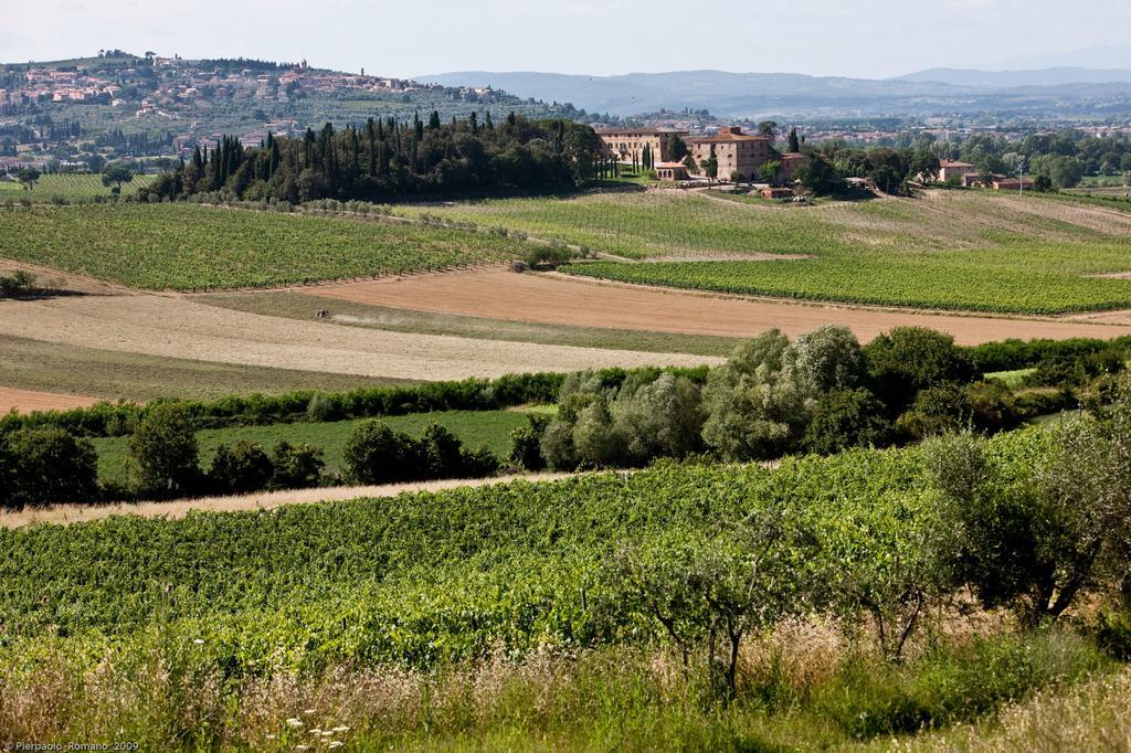 Pensjonat Tenuta Di Petriolo Torrita di Siena Zewnętrze zdjęcie