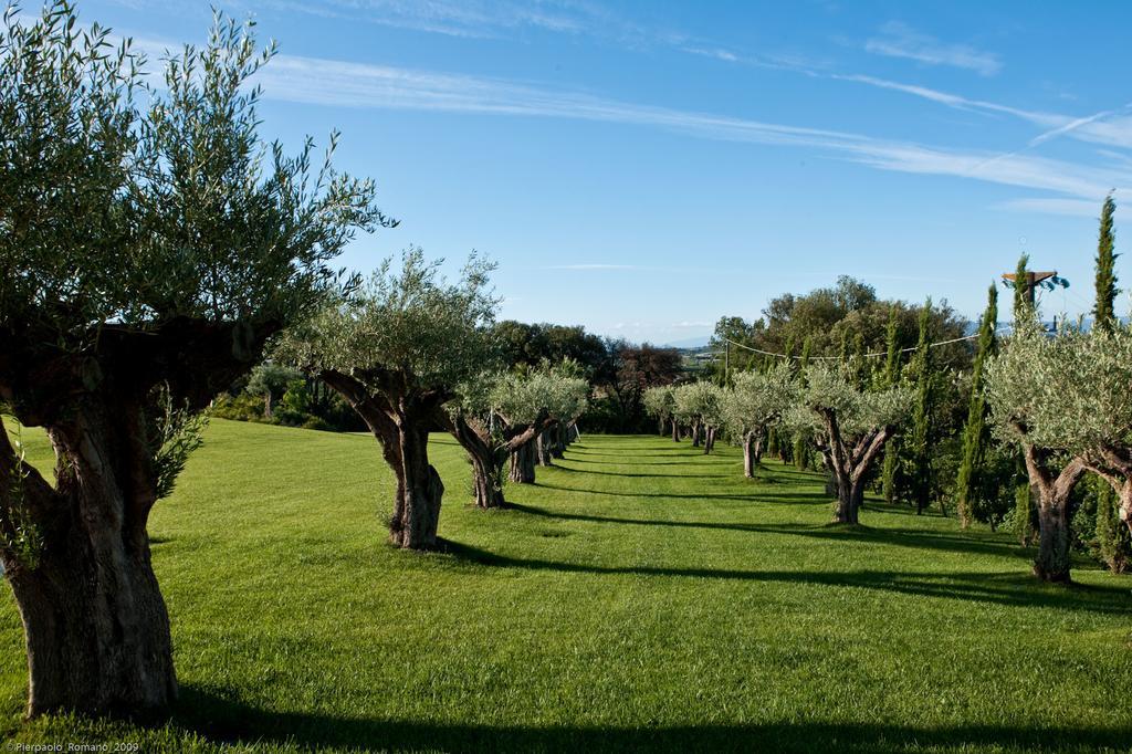 Pensjonat Tenuta Di Petriolo Torrita di Siena Zewnętrze zdjęcie