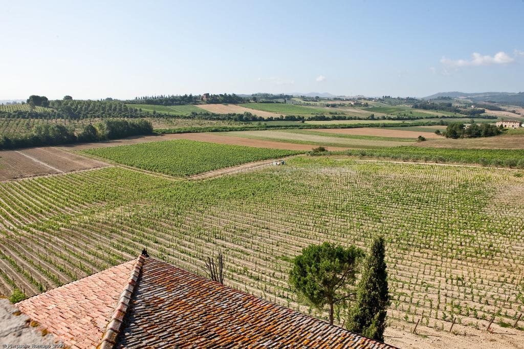 Pensjonat Tenuta Di Petriolo Torrita di Siena Zewnętrze zdjęcie