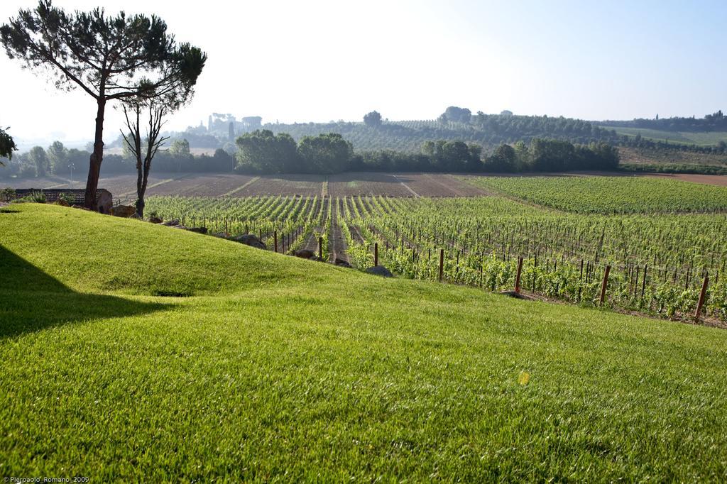 Pensjonat Tenuta Di Petriolo Torrita di Siena Zewnętrze zdjęcie